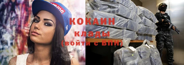 спайс Каменка
