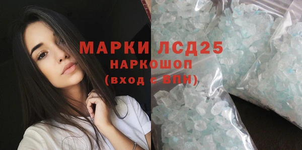 спайс Каменка