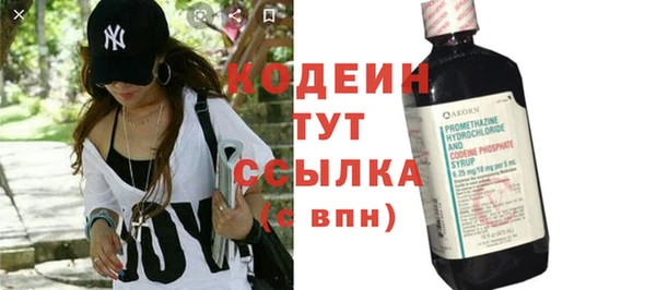 спайс Каменка
