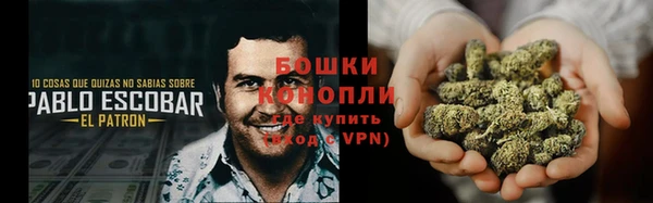 хмурый Каменногорск