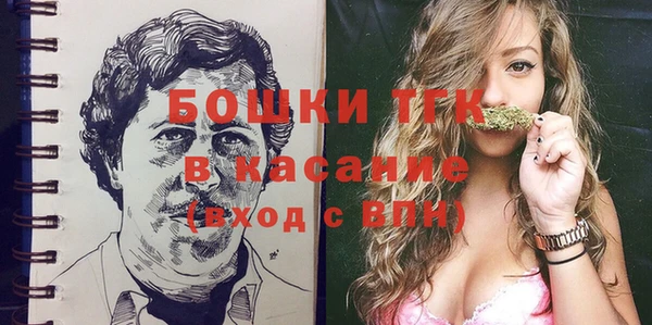 хмурый Каменногорск