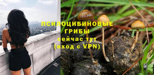 молекула духа Каменск-Шахтинский