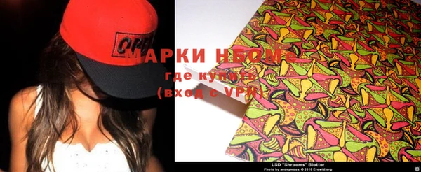 спайс Каменка