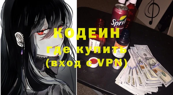 спайс Каменка