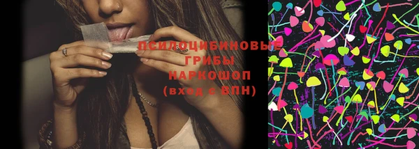 хмурый Каменногорск