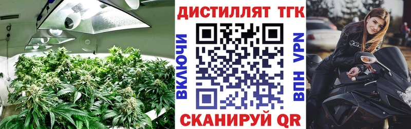 ТГК концентрат  Купить  Бирск 