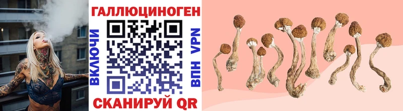 Купить  Бирск  Псилоцибиновые грибы ЛСД 